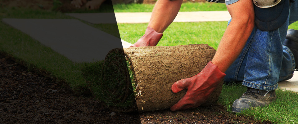 King Of Prussia Landscapers